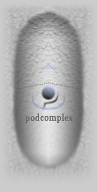 Podcomplex Home Page